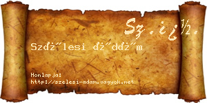 Szélesi Ádám névjegykártya